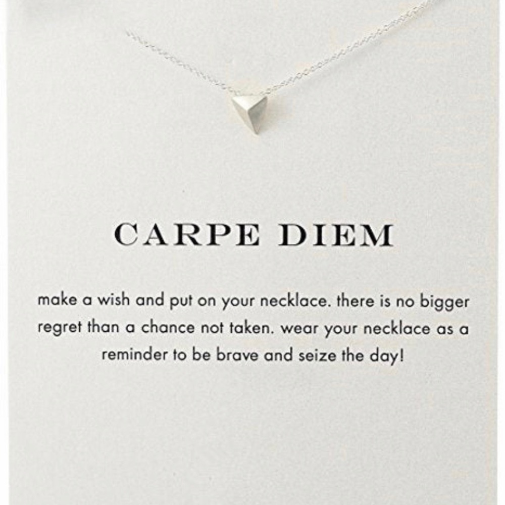 Carpe Diem Dainty 16” Necklace